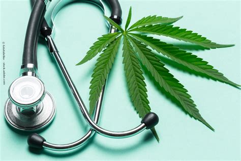 cannabis medicinal - pachuca vs américa femenil